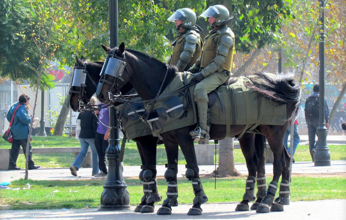 Moderni "vitez": Konjanik Murjačkog stola