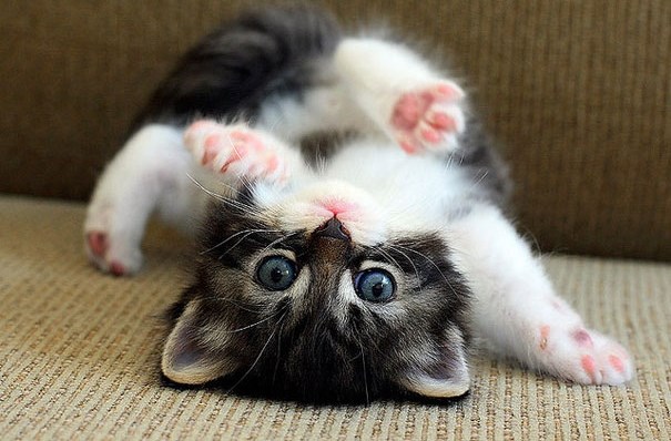 Dosta ti je za danas, vrijeme za glupiranje!