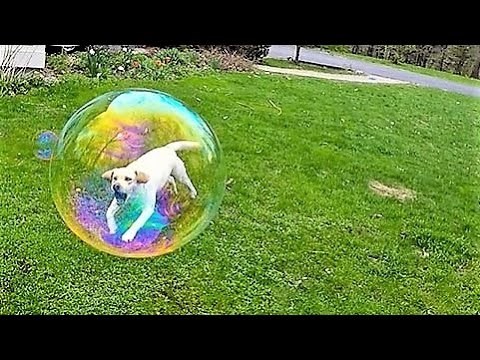 27 fotografija koje su u savršenom trenutku slikane sa savršenog mjesta