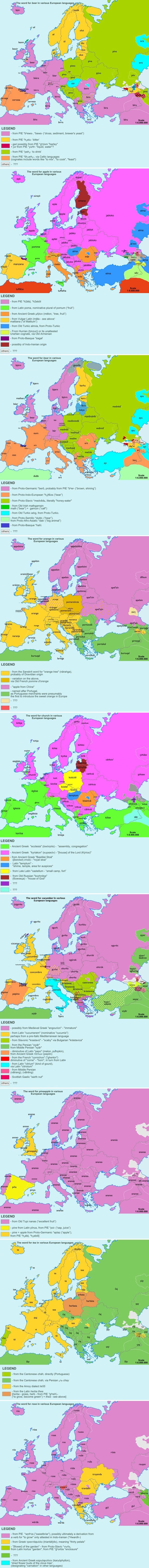 Znate li porijeklo hrvatskih riječi pivo, jabuka, crkva.. i zašto u ostatku Europe zvuče drugačije?