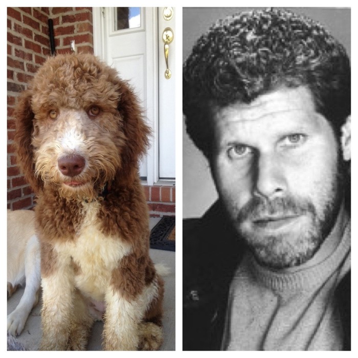 Ron Perlman našao dvojnika