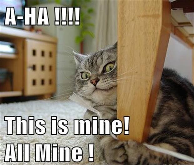 Vlasnicima mačaka ovo je dobro poznato