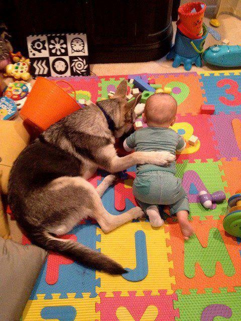 Drži se mali, ti moraš naučiti sva ova slova...