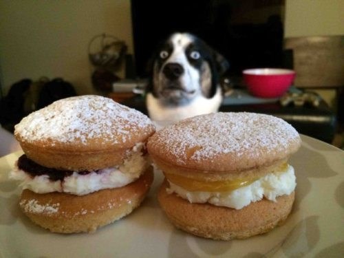 Slike i pogledi vrijede tisuću riječi