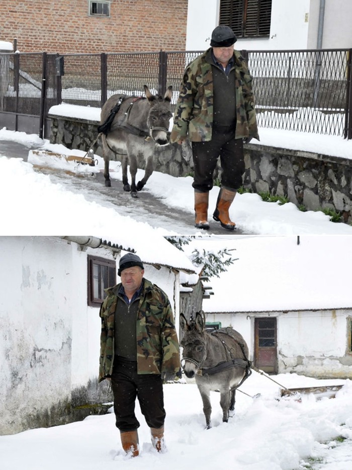 Magarica upregla ralicu i pomogla Blažu čistiti ulicu