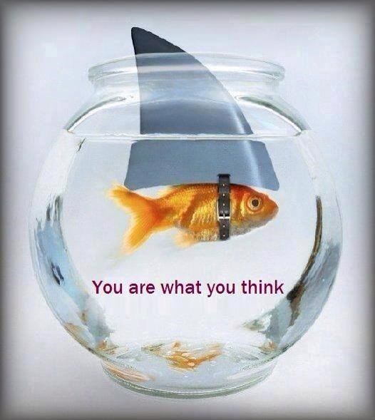 Važno je kakvim ti sam sebe vidiš :)