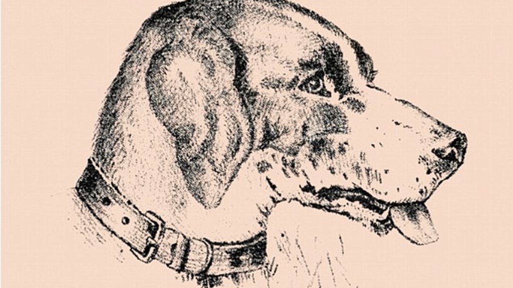 TEST ZAPAŽANJA Ovaj pas na sebi krije lice vlasnika, možete li ga pronaći?