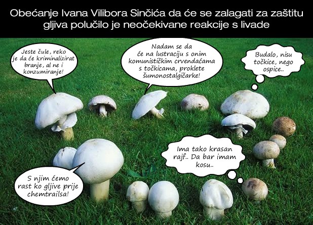 "Predsjednik" Vilibor oduševio gljive: Lude smo od sreće!