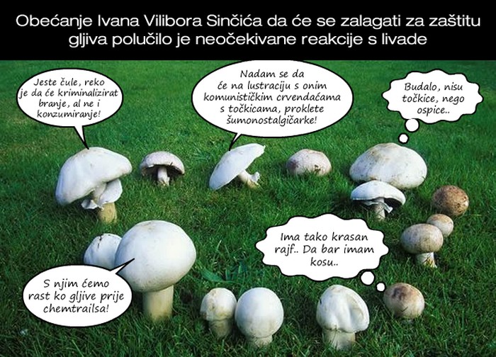 "Predsjednik" Vilibor oduševio gljive: Lude smo od sreće!