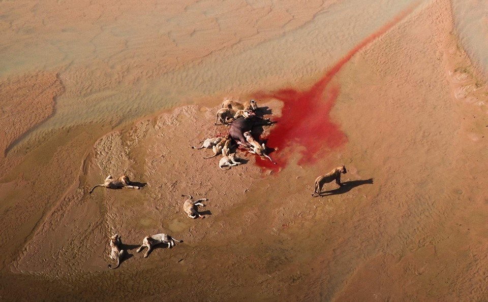 Kad ih ovako gledaš baš ti i nisu "swatki maji lawichi"?