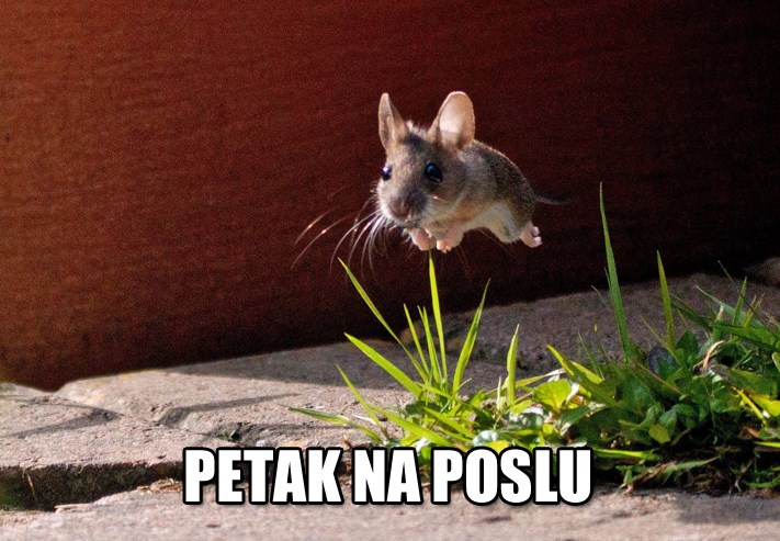 Poletno čekaš kraj smjene?