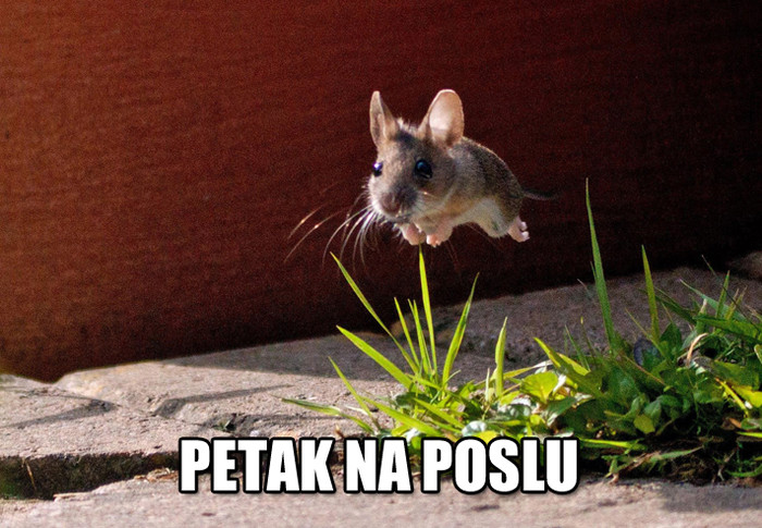 Poletno čekaš kraj smjene?