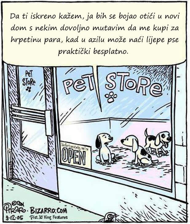 Ni peseki ne kuže zašto ih ljudi kupe, a ne udome im frenda