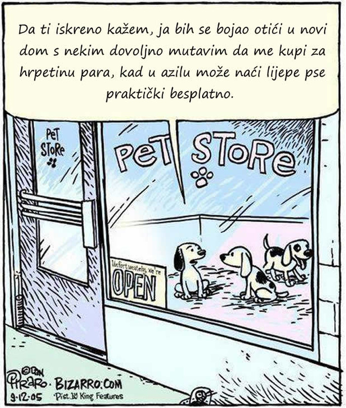 Ni peseki ne kuže zašto ih ljudi kupe, a ne udome im frenda