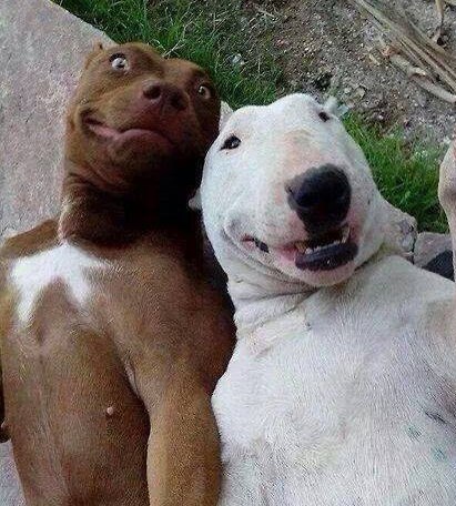 Smij se buraz, snimamo selfie!