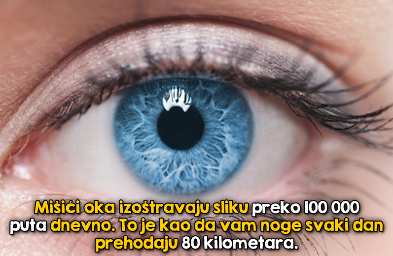 Oko se u jednom danu naradi kao rob!