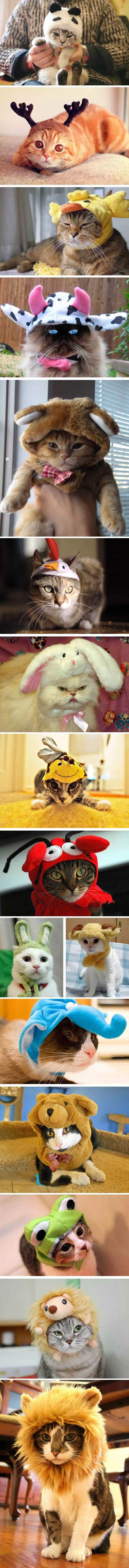 Mice mace idu u maškare