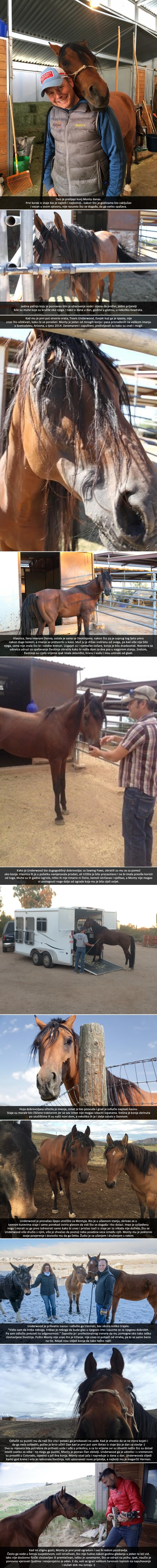 Konj godinama zatočen u staji pronašao razlog za život u čovjeku koji ga je spasio