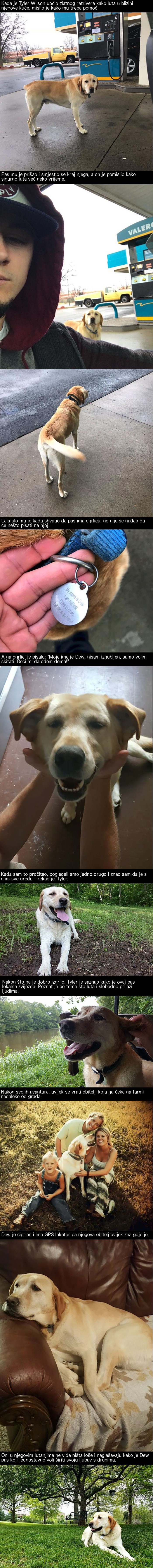 Pronašao je "izgubljenog" psa i odlučio mu pomoći, no kada je vidio što mu piše na ogrlici, odustao je