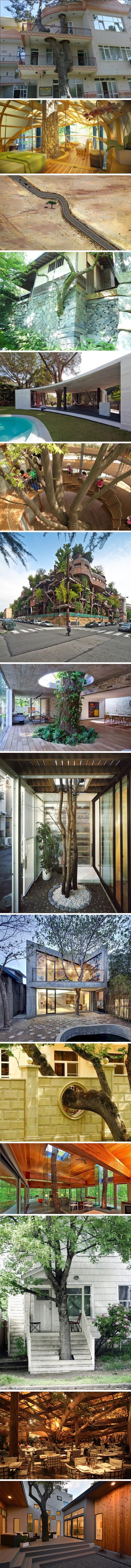 Ovi ljudi su odlučili ne rušiti stabla, rezultat toga je fascinantan suživot ljudi i prirode!