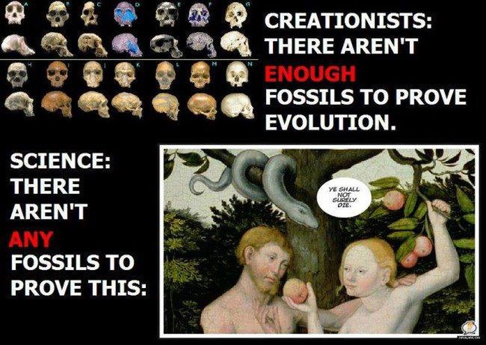 Nema dokaza za evoluciju, ali za zmiju i jabuku ima?