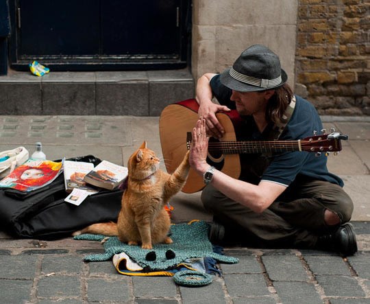 Frendovi u dobru i zlu: Preživljavaju zajedničkim snagama