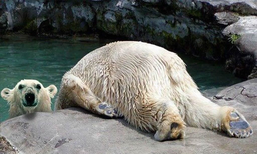 Vidite s kim ja živim, opet mrtva pijana od ranog jutra!