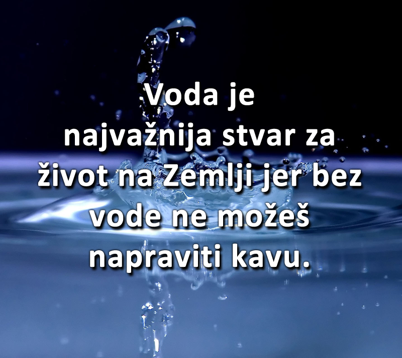 Bez vode nema života, ali zašto?