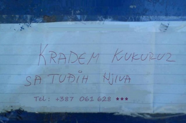 HIT OGLAS: Krade kukuruz po tuđim...