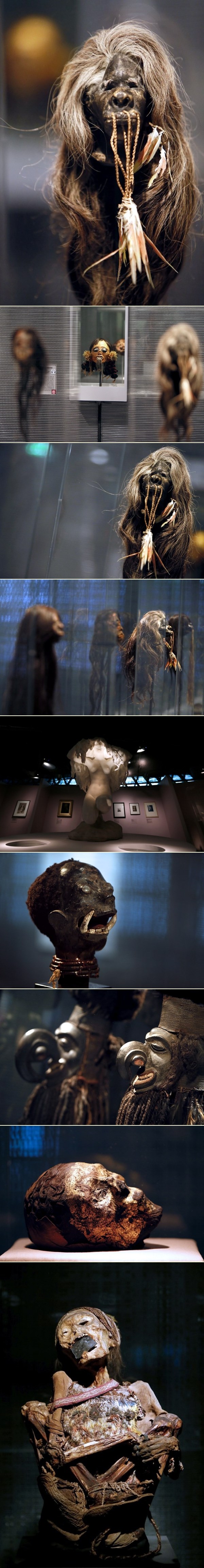 Bizarna izložba u Parizu - mumije i otkinute lubanje