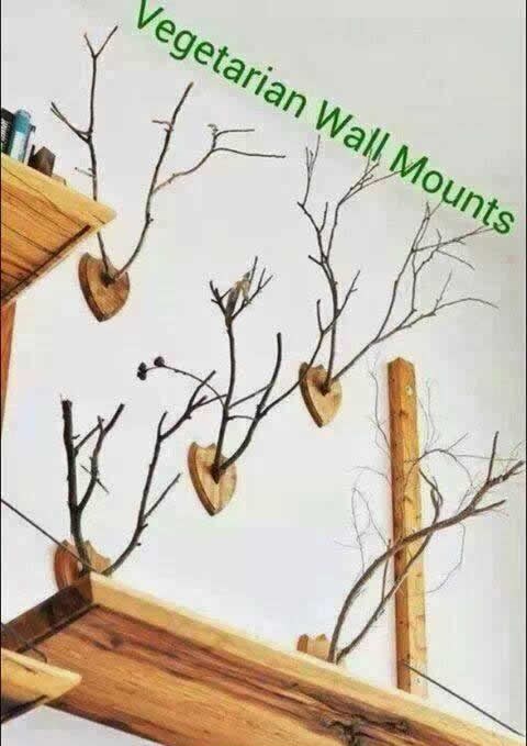 Trofeji lovca vegetarijanca