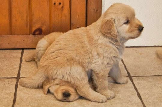 Mali sam i slatki i ja to zaslužujem