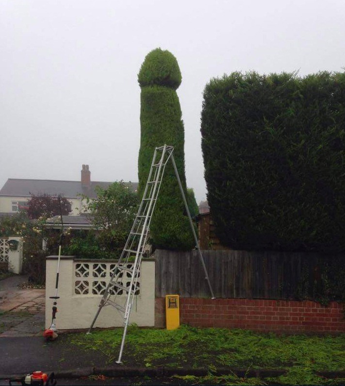 Tri godine se mučio dignuti svoj divovski penis