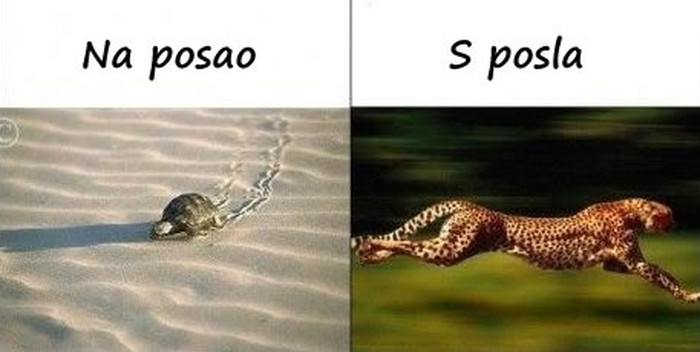 Opis radnog dana