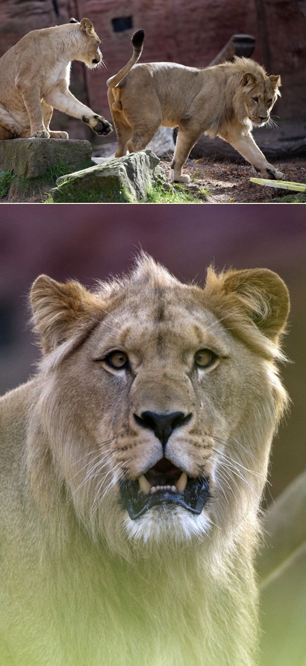 Ej, mislim da nas netko fotka! Kaaaaaj?!