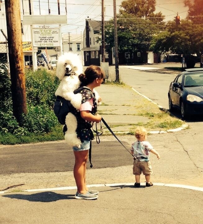 Kad dadilja "pobrka lončiće"