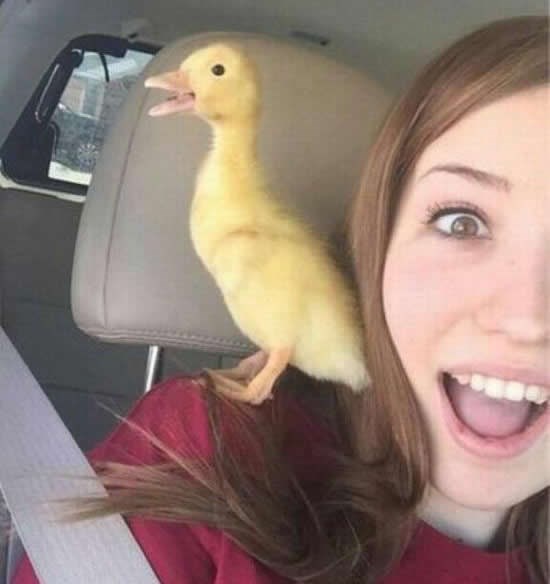 Jedini prihvatljivi duckface na selfiju