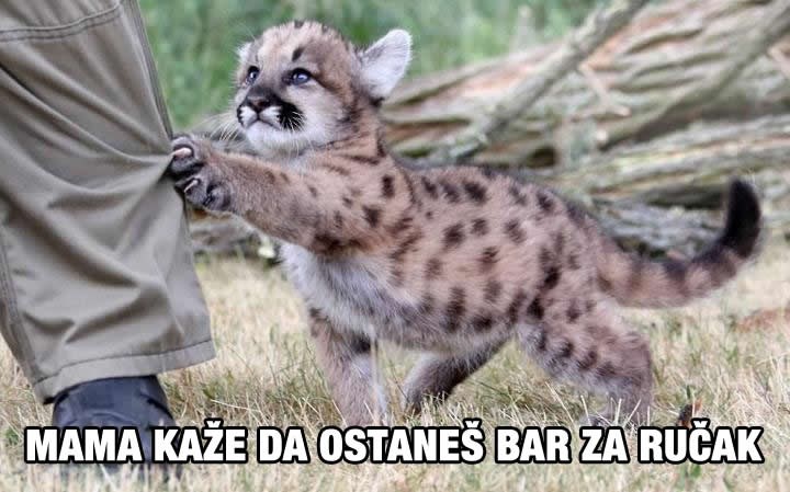 Poznavanje gramatike ti može spasiti život