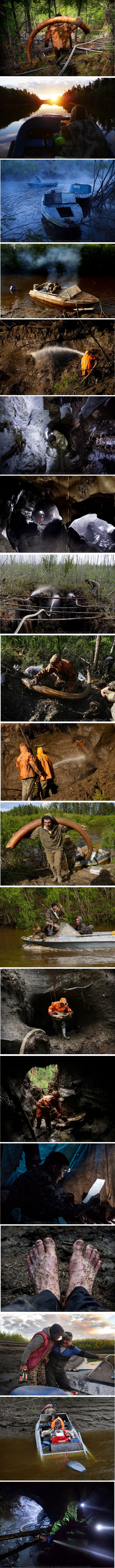 Fotograf se pridružio ljudima u  ilegalnom lovu na ostatke mamuta i zabilježio kako su se obogatili, napili i gotovo poginuli