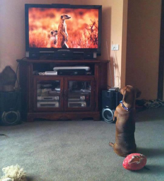 Misliš da TV nema utjecaja na tvoje navike?