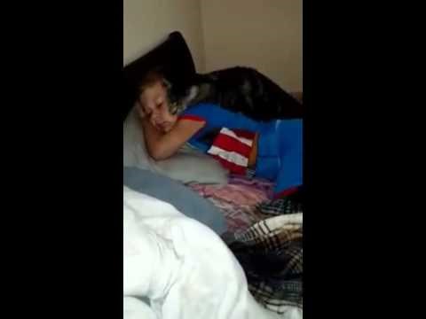 VIDEO: Kad maca voli - klinca nije vidjela samo par dana, a luda za maženjem!