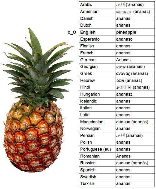 Prave se Englezi: Cijeli svijet se slaže, oni su kontra