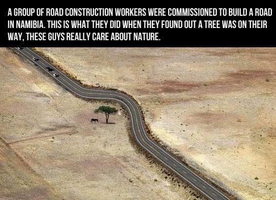 Čuvaj svako drvo kao da je posljednje