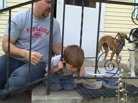 VIDEO: Zapeo je glavom u ogradi! Tata ga nikako nije uspio izvući, a onda se mali bez problema oslobodio