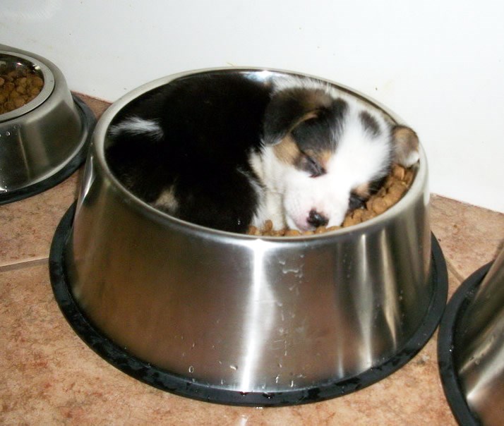 Hranica moja, neće tebe nitko, sva si samo za mene!