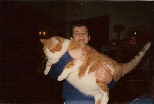 Mačketinu od 20 kila jednostavno nije briga