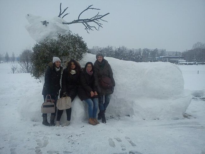 Od snijega napravili velikog jelena