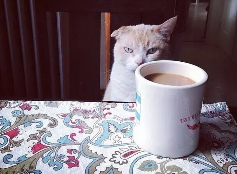 Opet ponedjeljak, opet..