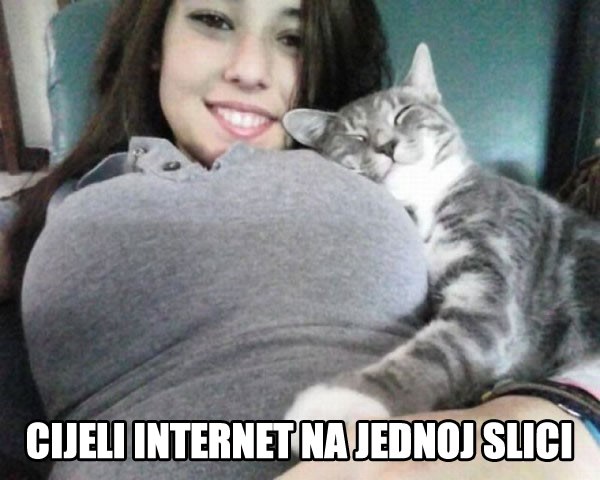 Cijeli internet na jednoj slici