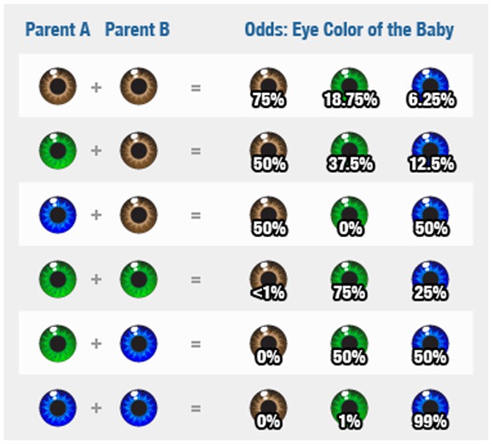 Zanima vas kakvu će vam djeca imati boju očiju?